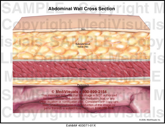 abdominal tissue layers